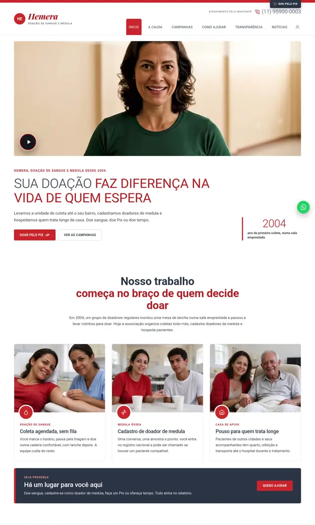 Prévia do modelo Hemera V para ONGs e Instituições
