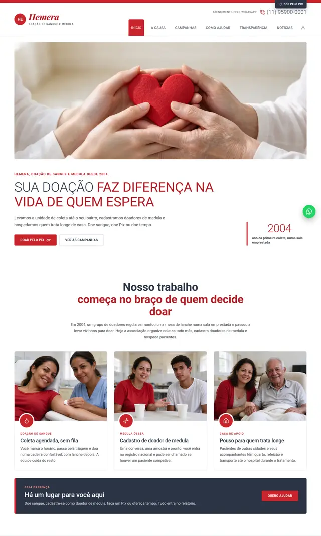 Prévia do modelo Hemera para ONGs e Instituições